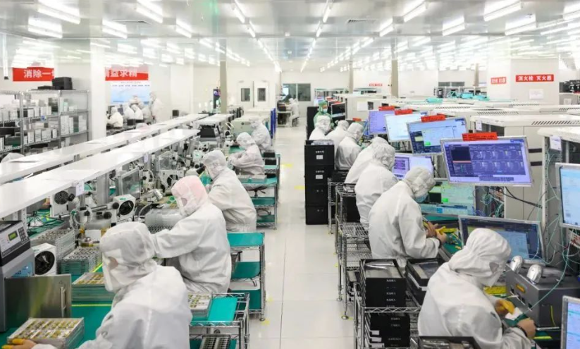 广州楚丰虫害防治有限公司林业虫害治理技术要点与实施流程解析
